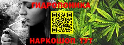 молекула духа Берёзовский