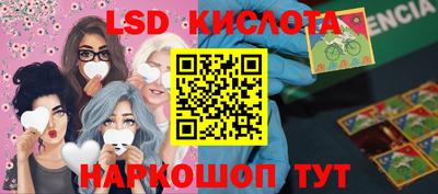 jwh Бийск