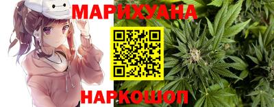 jwh Бийск