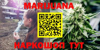 jwh Бийск