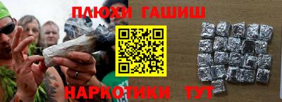 jwh Бийск