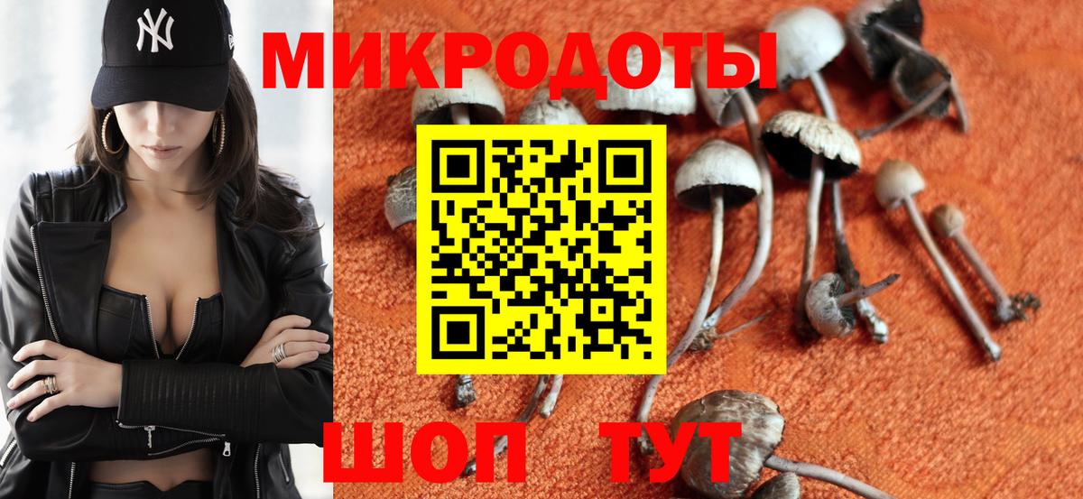 Псилоцибиновые грибы Magic Shrooms Киров