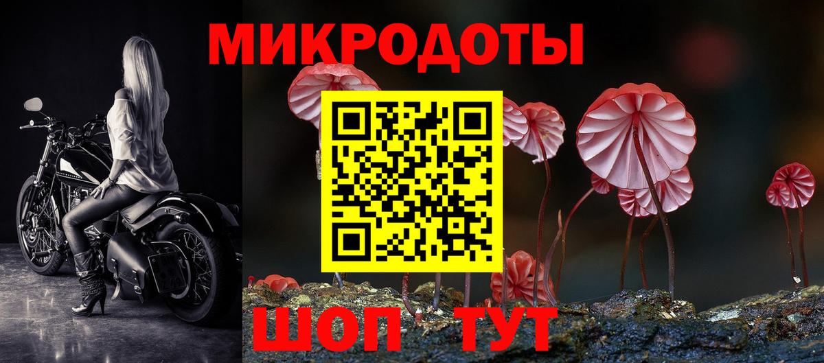 Киров  наркотики  Вход с VPN  Галлюциногенные грибы Psilocybe 