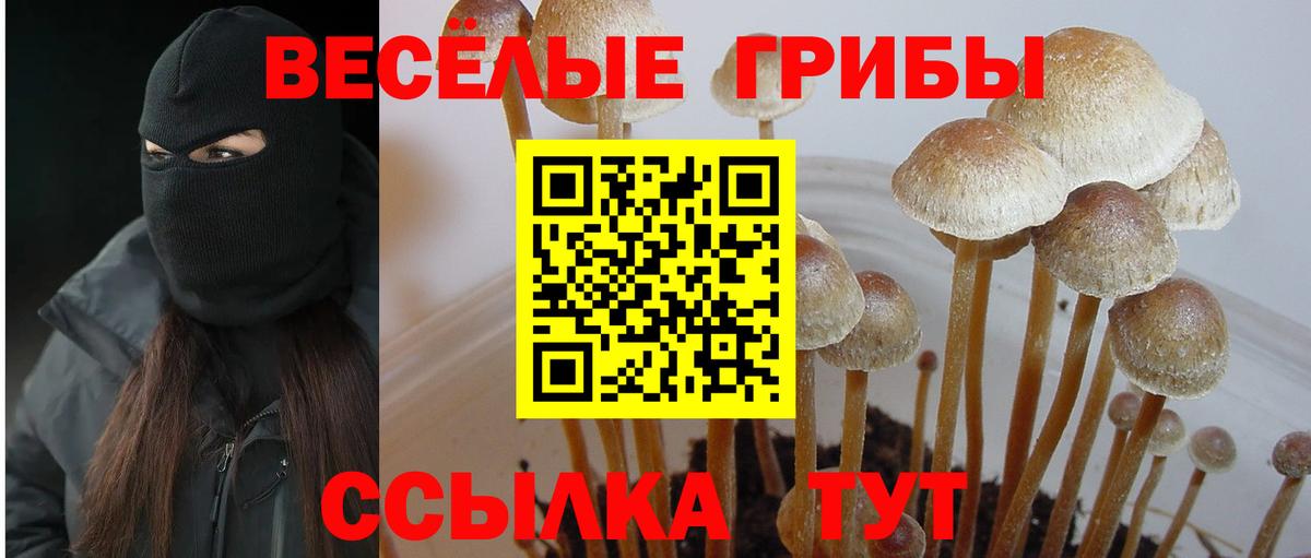 Мефедрон   Кетамин  Киров  COCAIN  Героин  Купить наркотики цена  ГАШ  Вход с VPN  Марихуана 